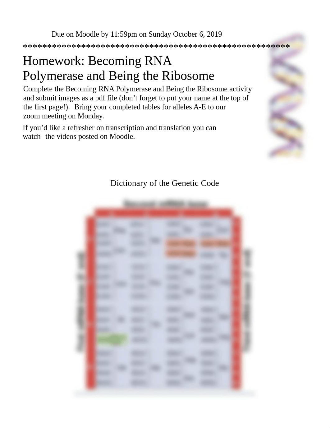 09-30-20 Homework Becoming RNA Polymerase and Being the Ribosome.pdf_du83c96wxdn_page1