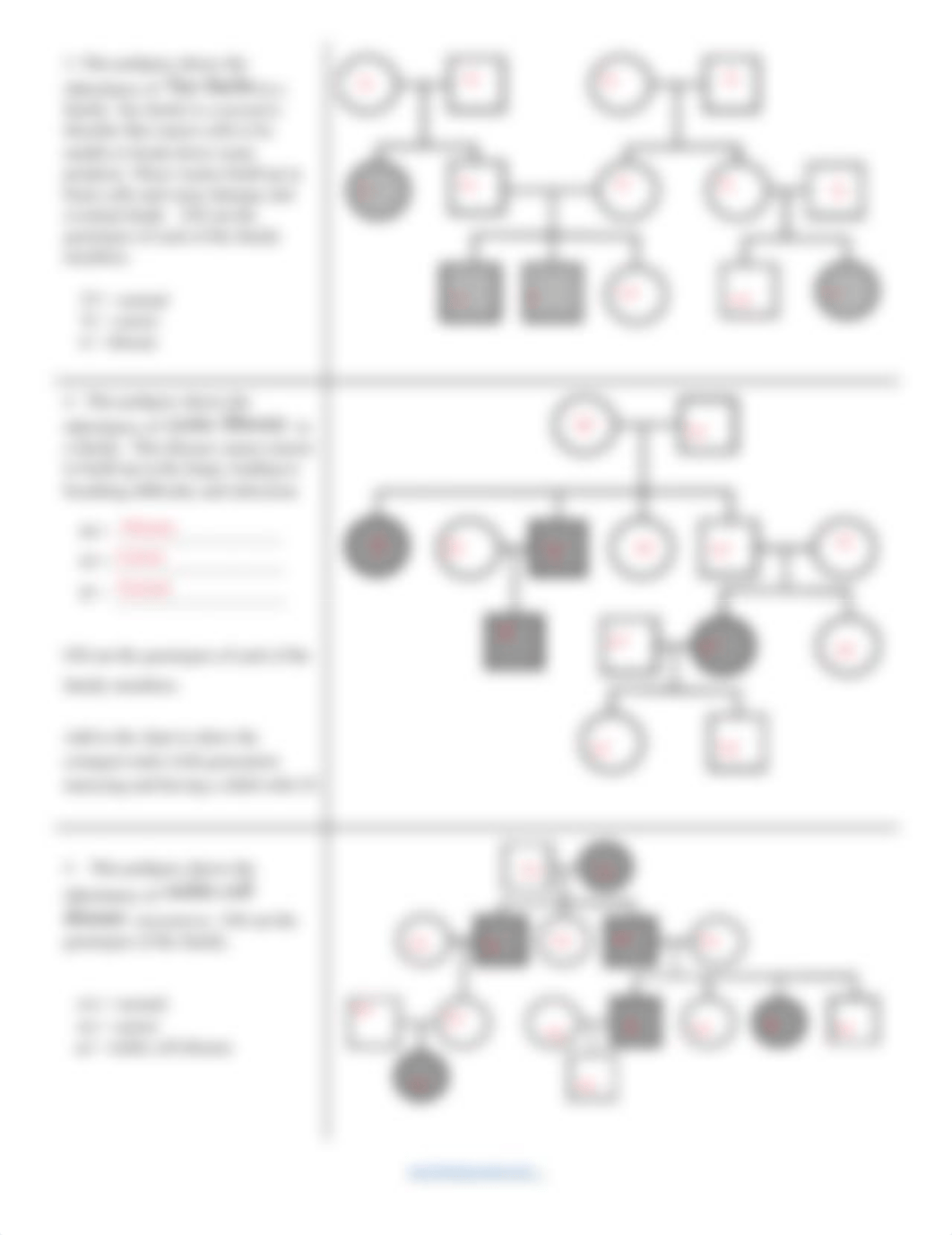 Pedigrees Practice - Human Genetic Disorders (1)kam.pdf_du87n4svqwv_page2