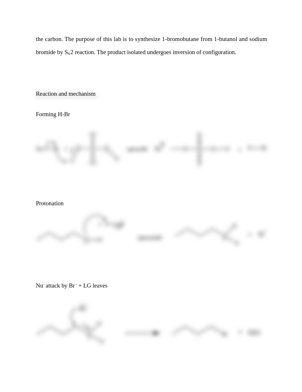 SN2 Synthesis of 1-bromobutane LAB REPORT.docx_du8a8k6dw79_page3