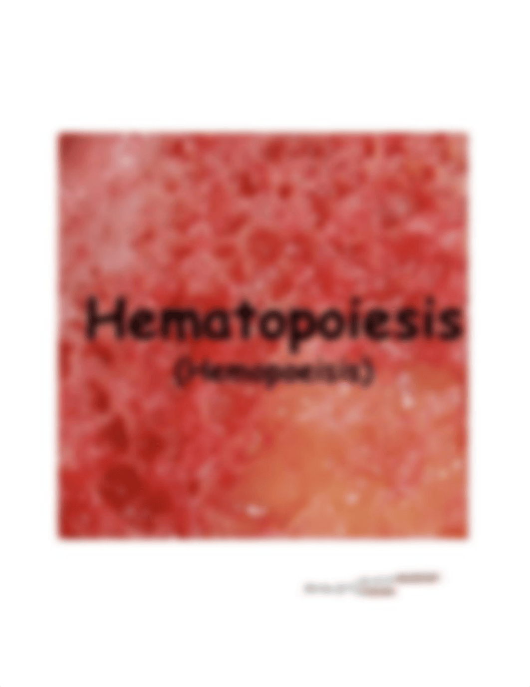 2. MOORE_HEMATOPOESIS STUDYSHEET.pdf_du8auy5bjdx_page1