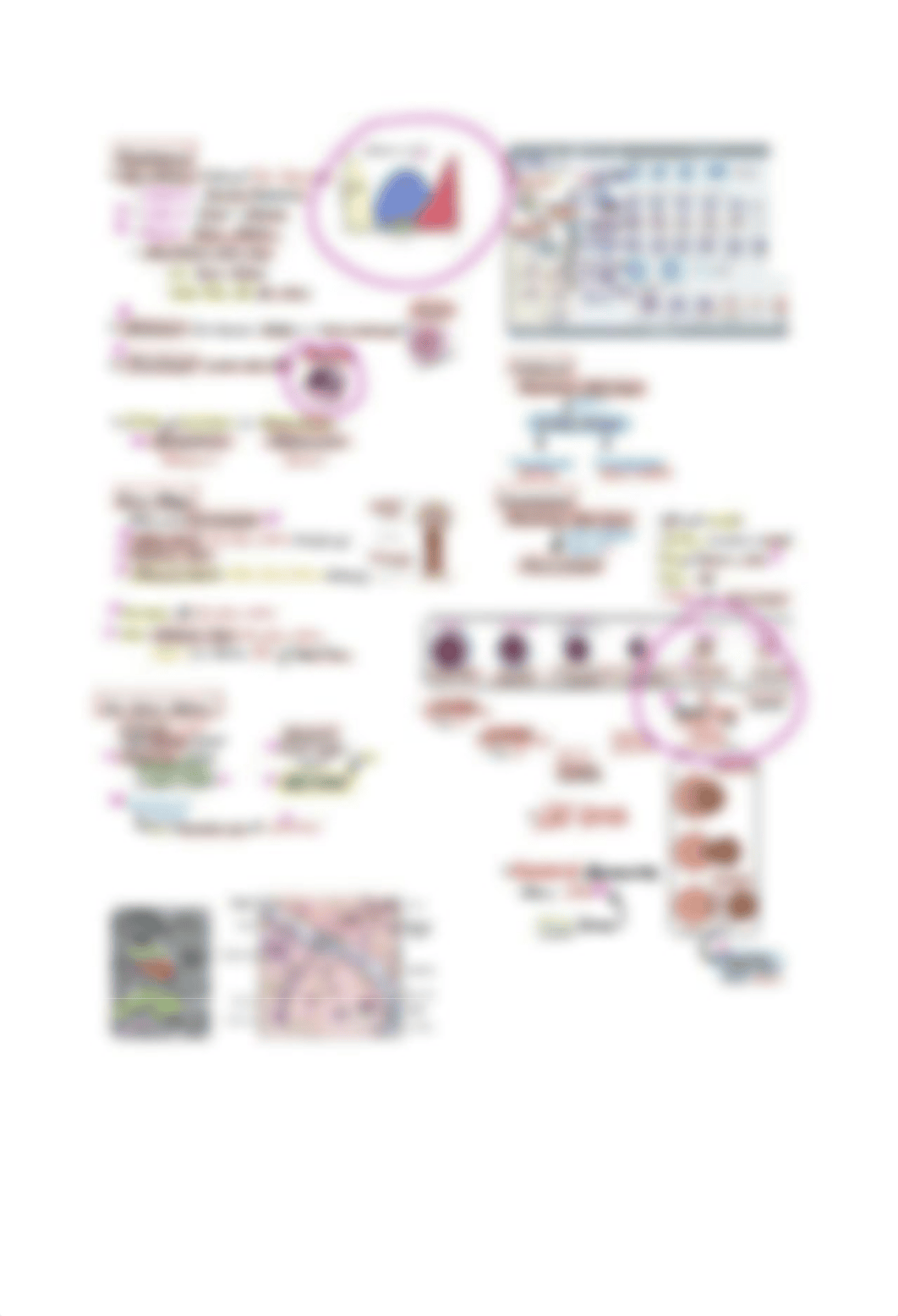 2. MOORE_HEMATOPOESIS STUDYSHEET.pdf_du8auy5bjdx_page2