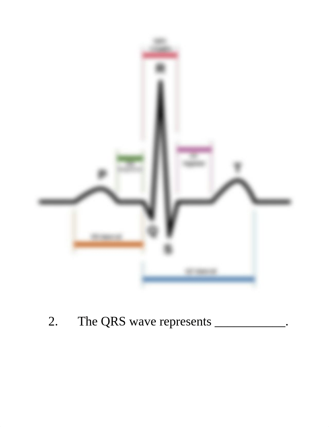 EKG Quiz.docx_du8b4txj10k_page2