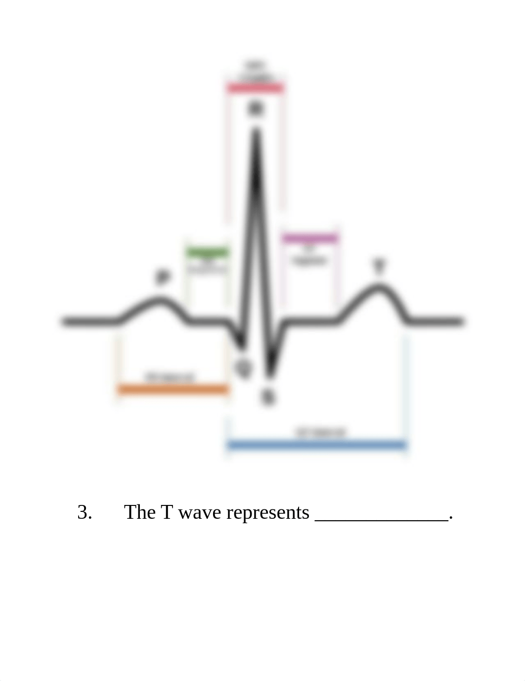 EKG Quiz.docx_du8b4txj10k_page3