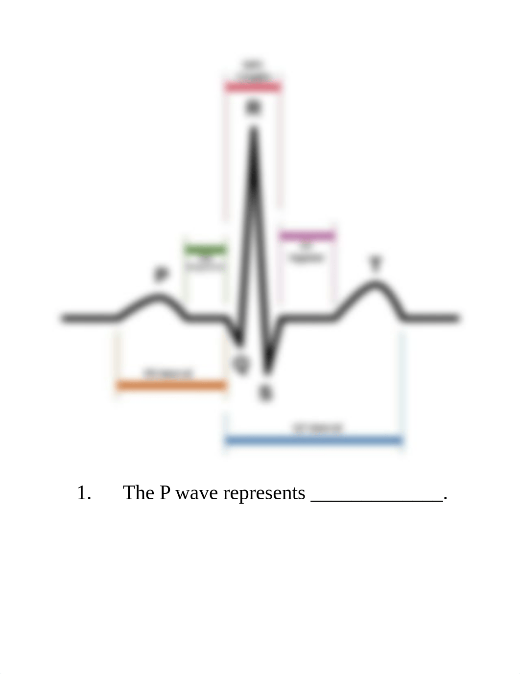 EKG Quiz.docx_du8b4txj10k_page1