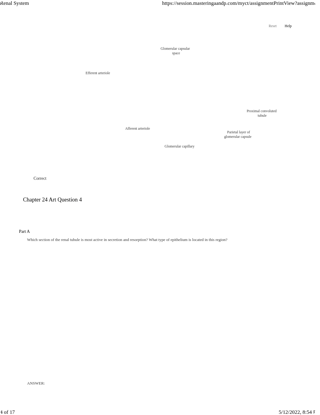 Unit 4 Renal System.pdf_du8fnxi6p2h_page4