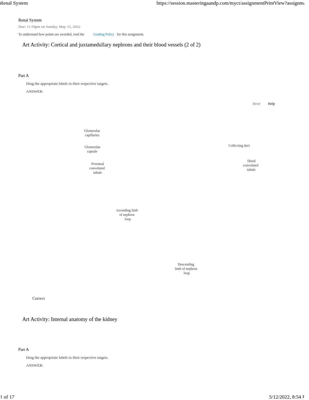 Unit 4 Renal System.pdf_du8fnxi6p2h_page1