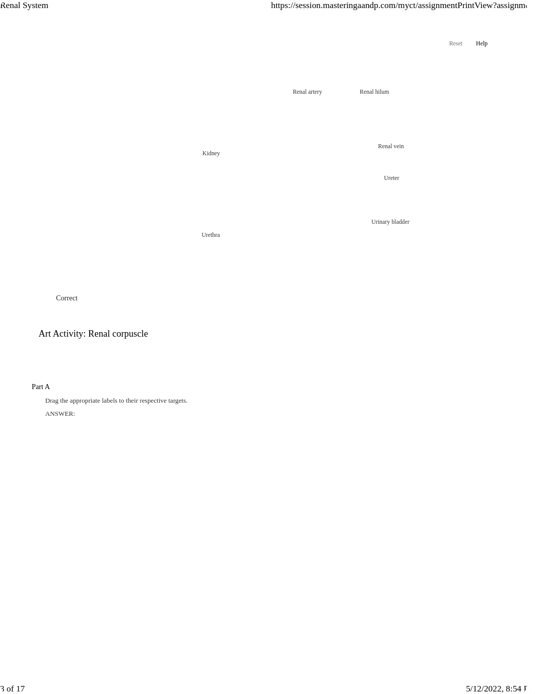 Unit 4 Renal System.pdf_du8fnxi6p2h_page3