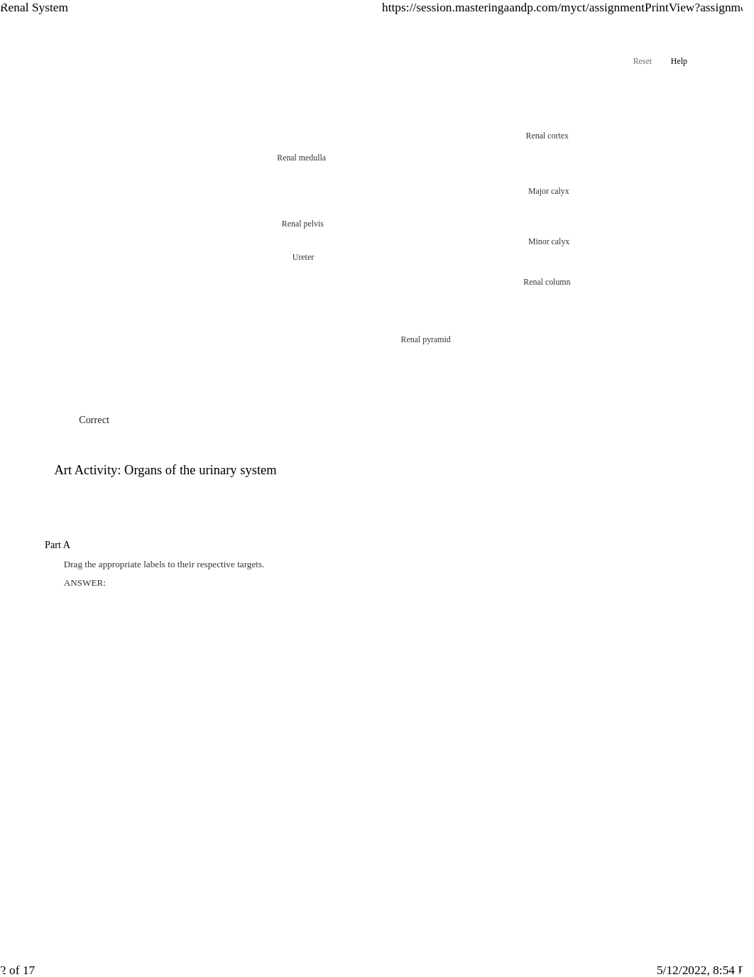 Unit 4 Renal System.pdf_du8fnxi6p2h_page2