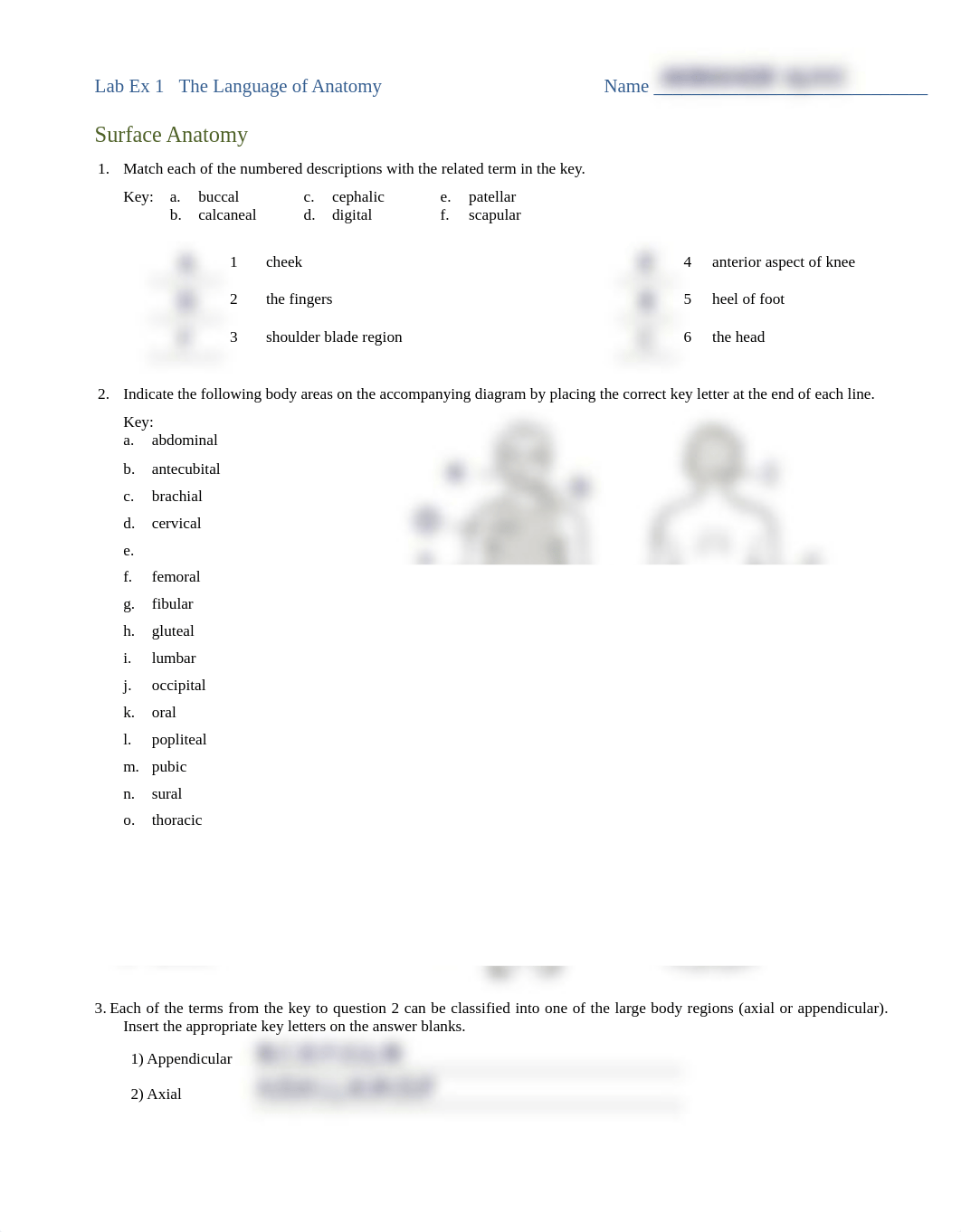 Lab Ex 1 Language of Anatomy (2).pdf_du8kciiqawg_page1