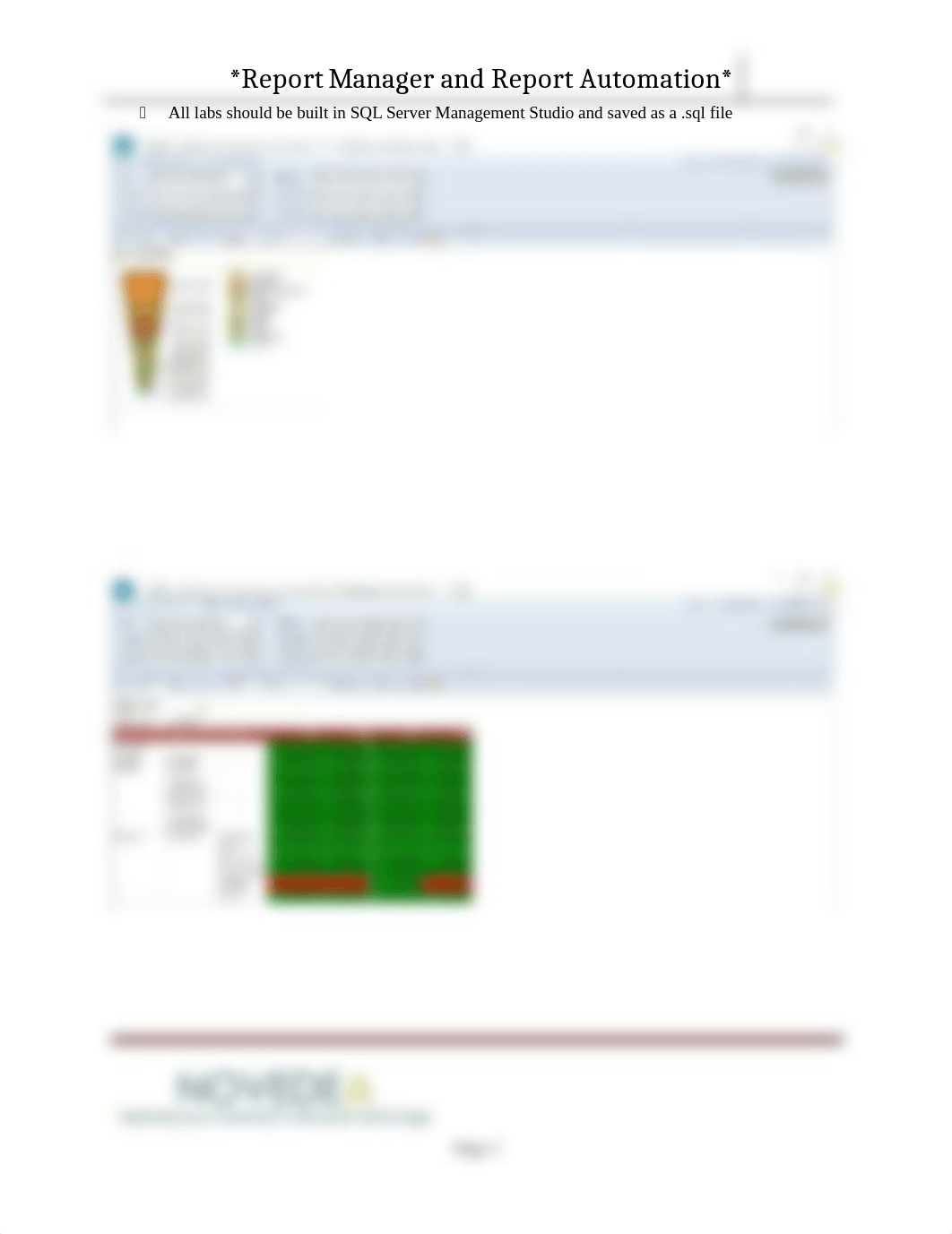 Report Manager and Report Automation Lab_du8rmgbswmz_page3