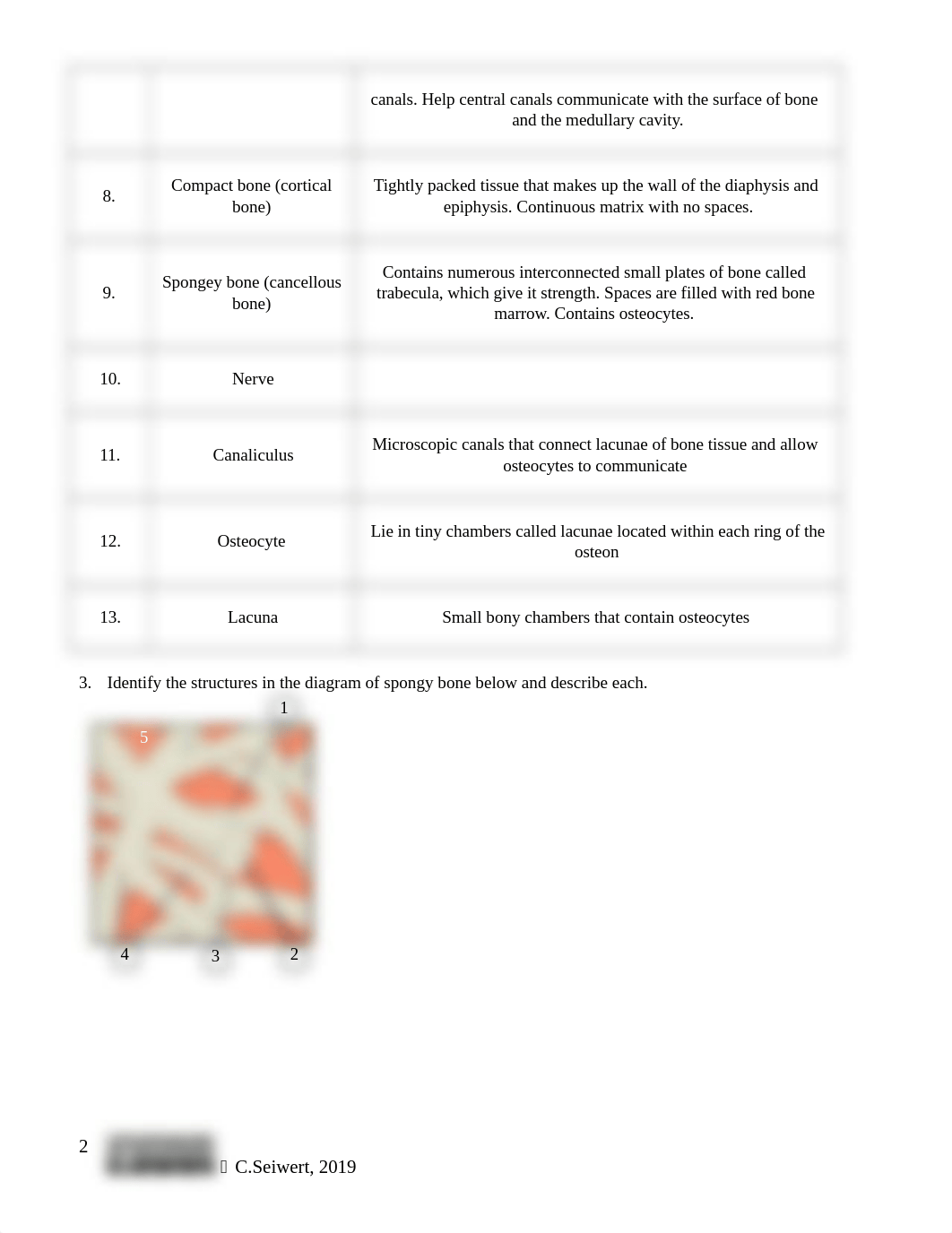 Module 6 Concept Check.docx_du8ua6mgu78_page2