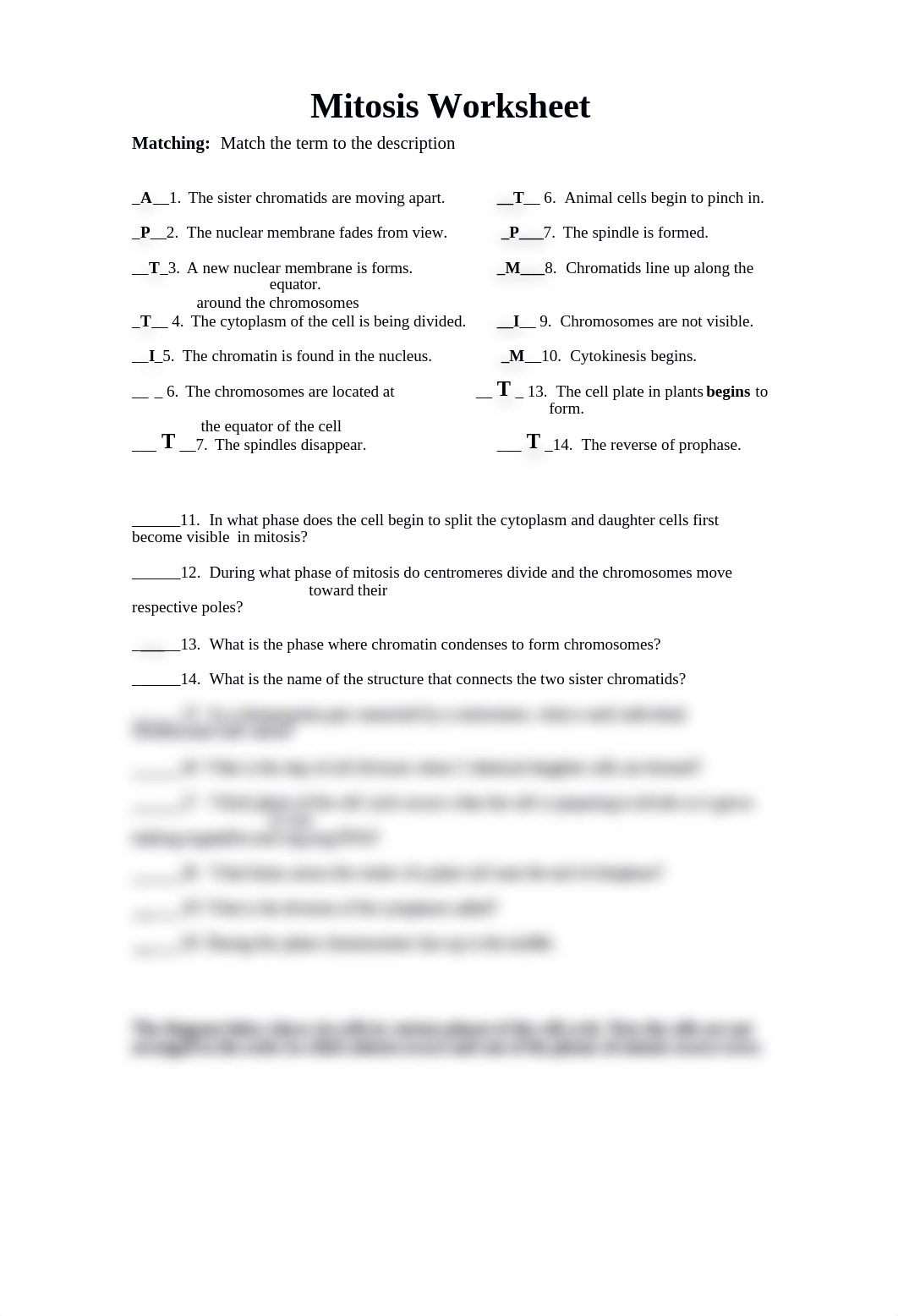 Mitosis assignment  40416.docx_du8vulxyyzh_page1