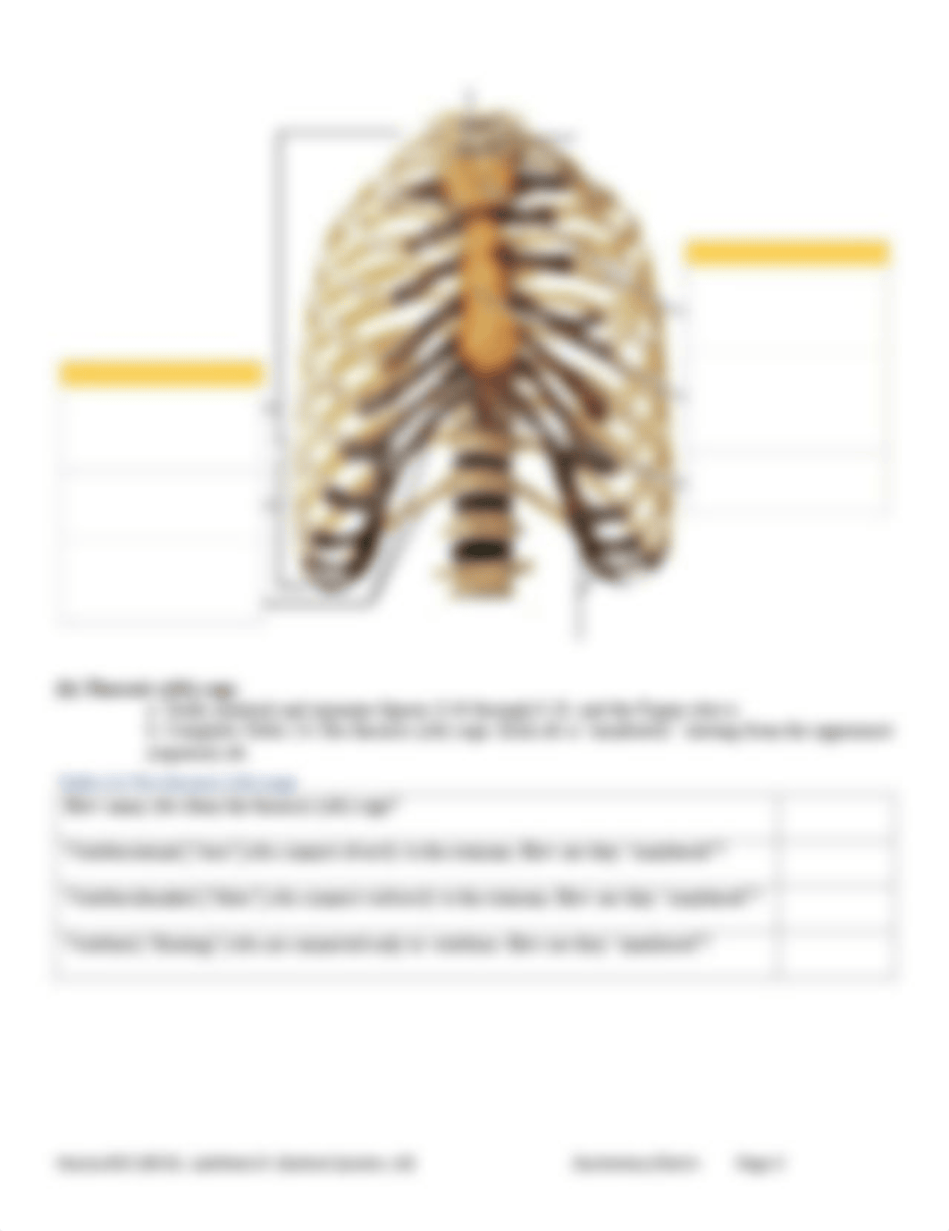 LabWeek9 DL Worksheet-Formlast.....pdf_du911vxyi20_page3