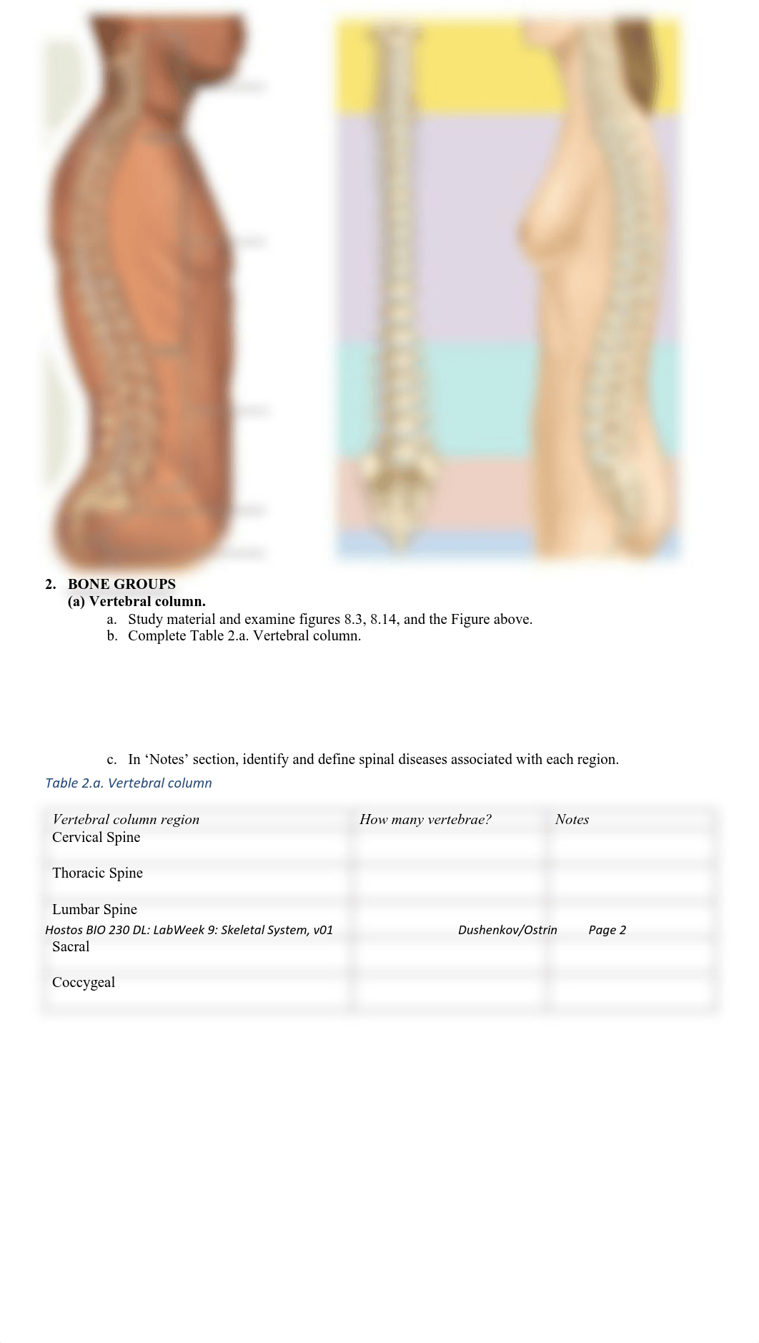 LabWeek9 DL Worksheet-Formlast.....pdf_du911vxyi20_page2