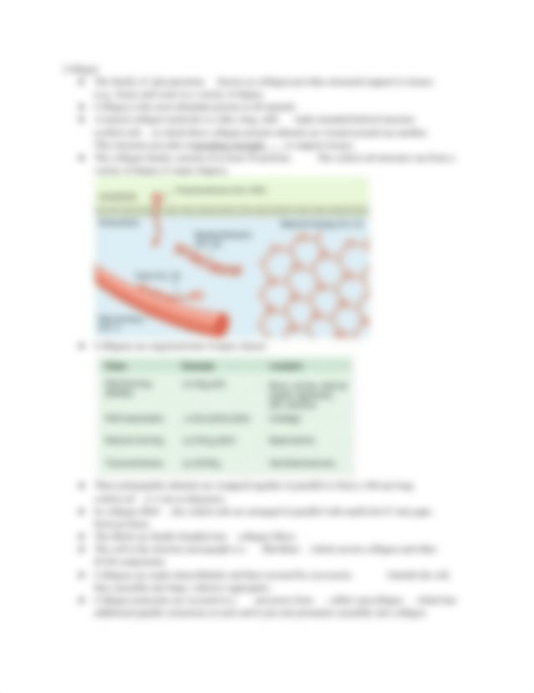 Cell Bio Exam 3 Notes.docx_du93h89qlbd_page3