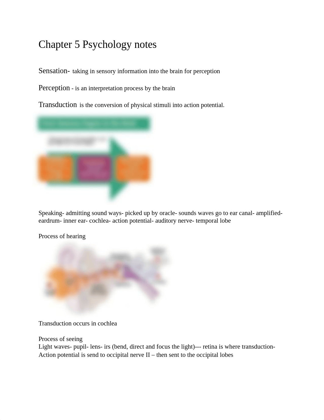 Chapter 5 Psychology notes.docx_du9amuddd59_page1