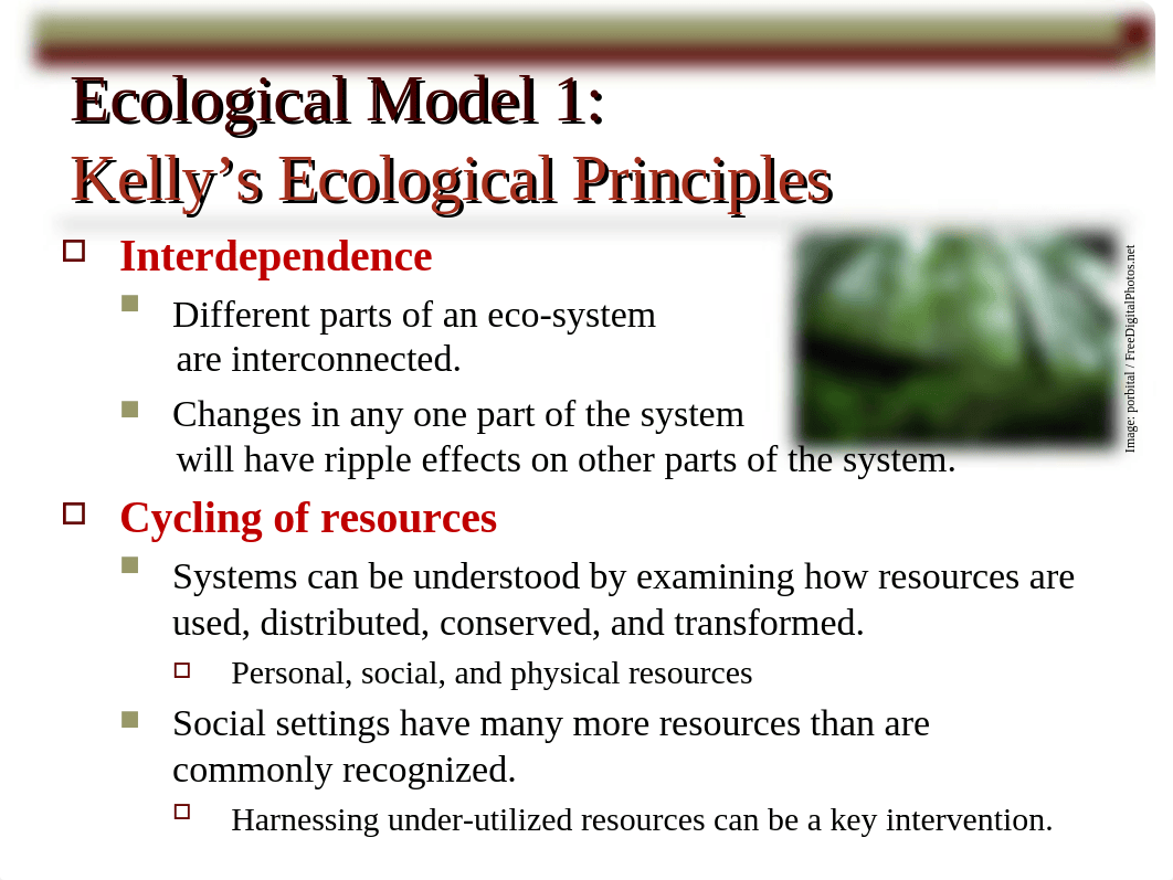 Ch 5 -  Understanding Individuals in Environments.ppt_du9d9odyouc_page5