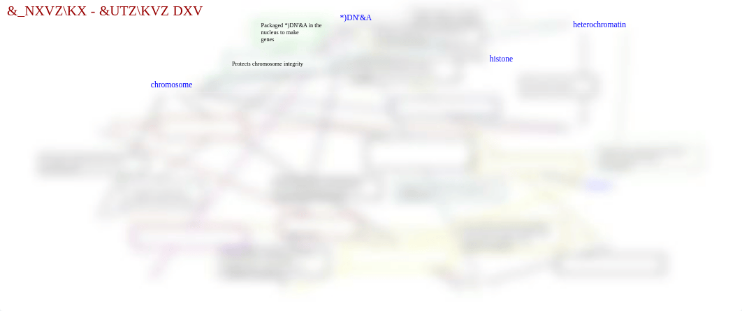 Chapter 5 Concept Map.pdf_du9kfl4aibv_page1