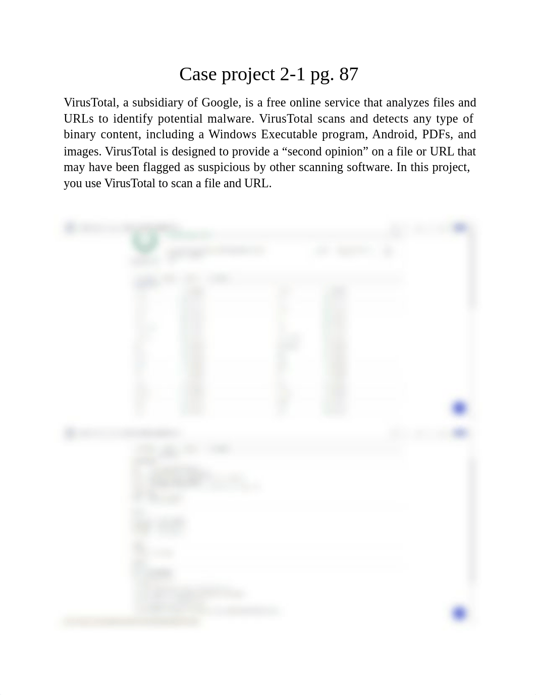 VirusTotal-hands on project.docx_du9ny5jtjeq_page1