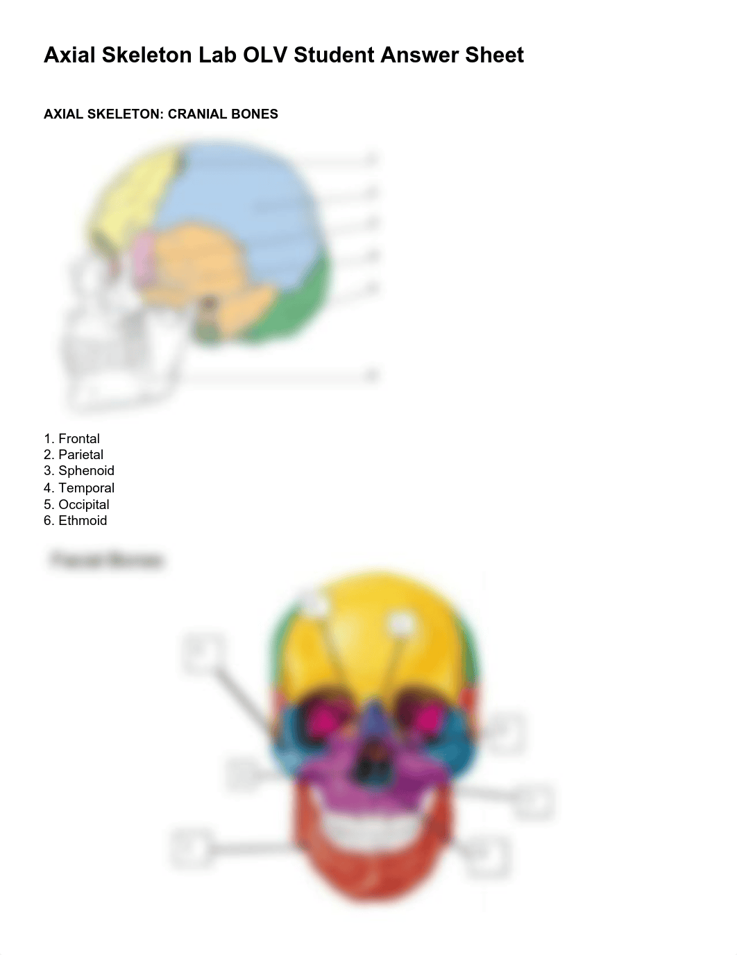 Axial Skeleton Lab OLV Student Answer Sheet.pdf_du9vt6xvtc2_page1