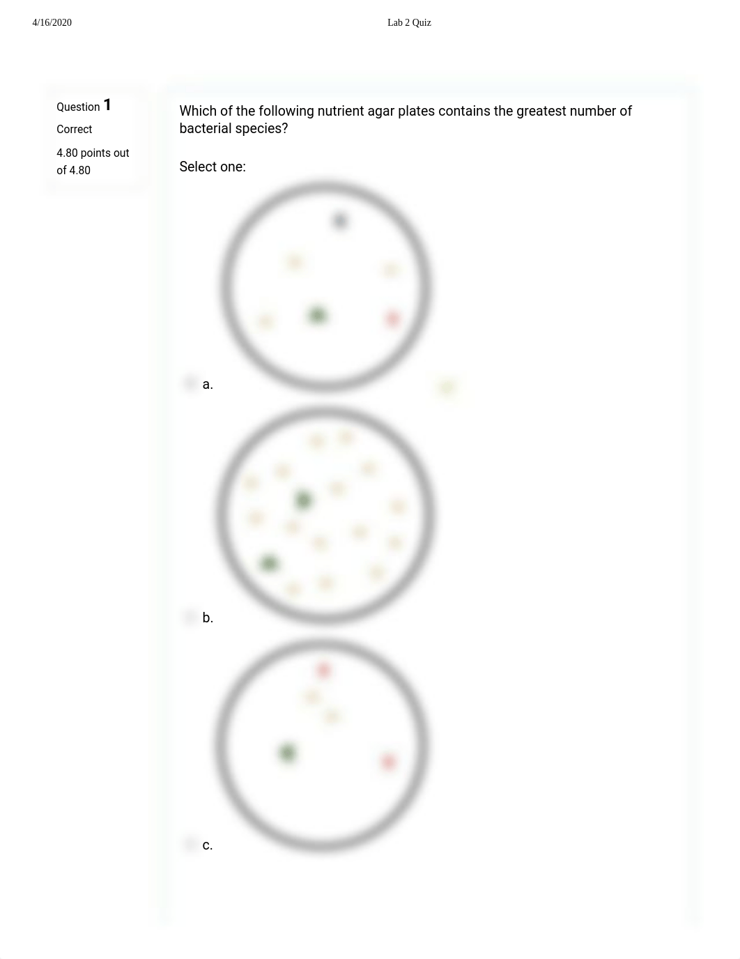 Lab 2 Quiz.pdf_duab7hjtt3j_page2