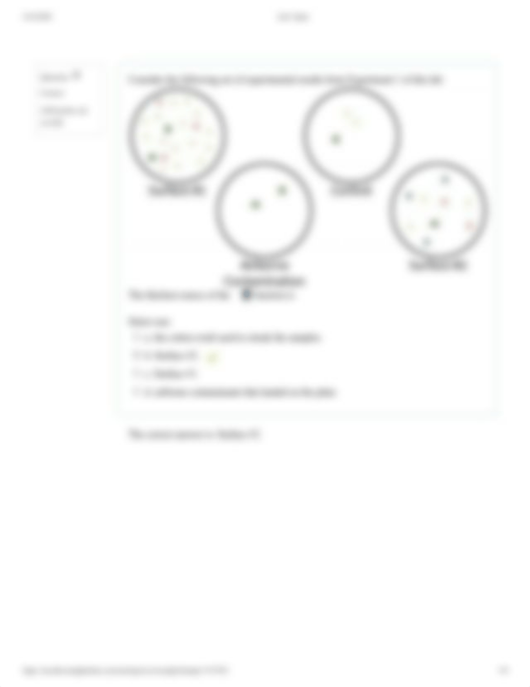 Lab 2 Quiz.pdf_duab7hjtt3j_page5