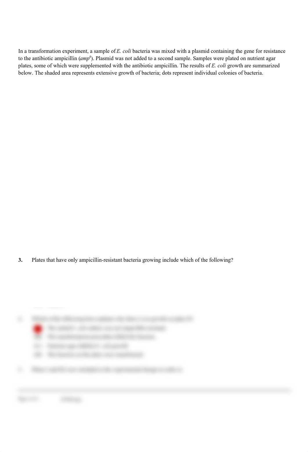 Kami Export - Darrin Greaves - Unit 6 Practice MCQs Questions.pdf_duae4l9swg7_page2