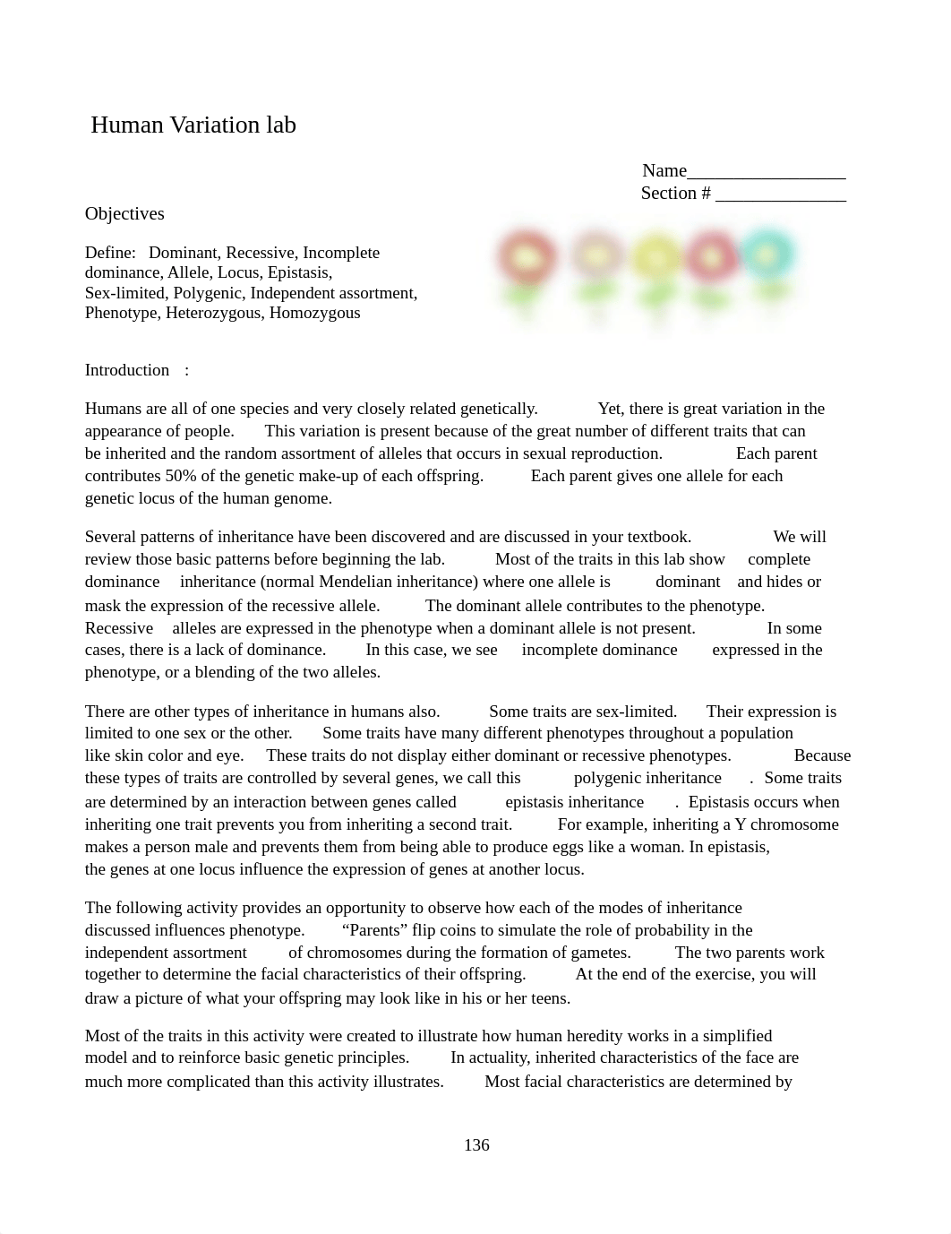 Human Variation lab.docx_duaep6sq4it_page1