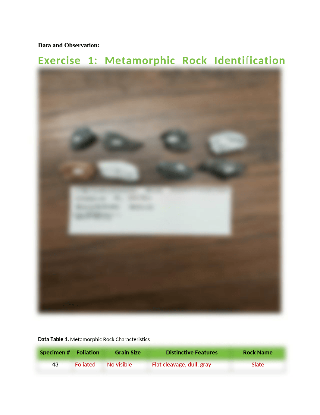 Lab 6 Metamorphic Rock Identification -CH.docx_duaijybta1n_page1