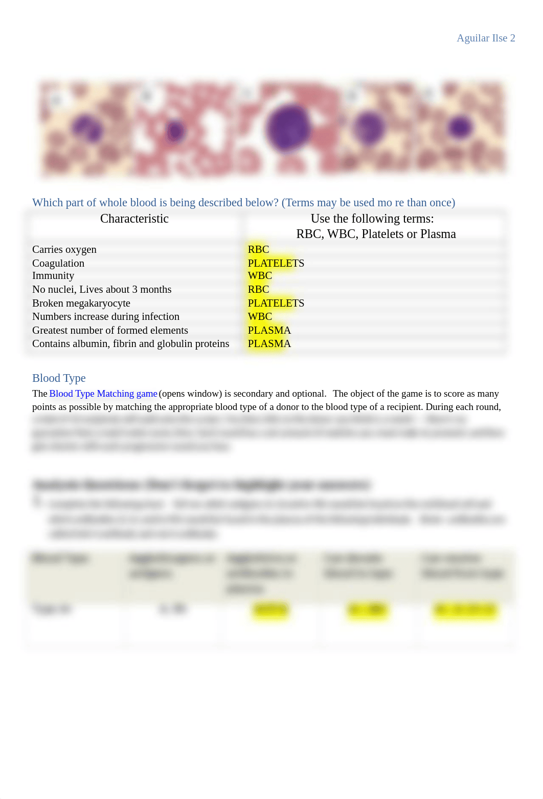 HOL_Blood_Heart(1).docx_duakyp2z535_page2