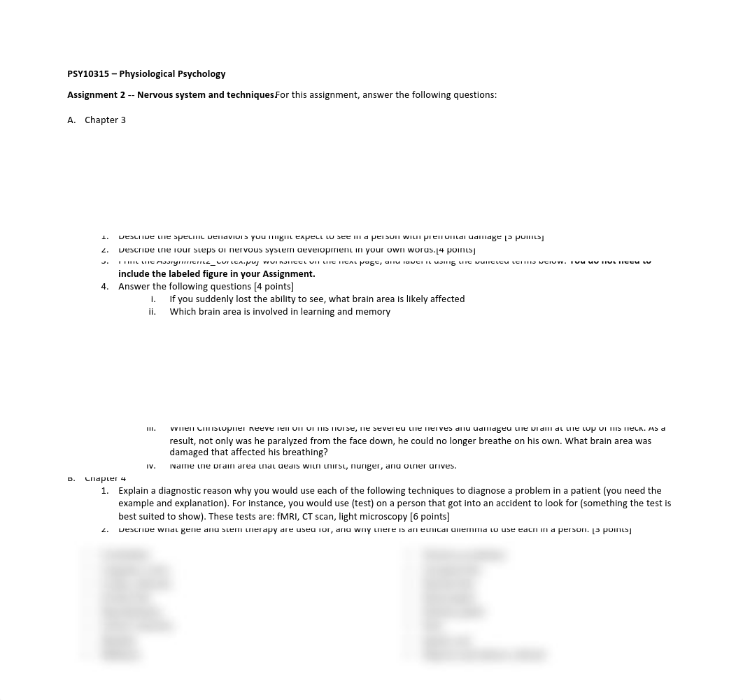 Assignment2_Cortex.pdf_duanzrd3f9c_page1