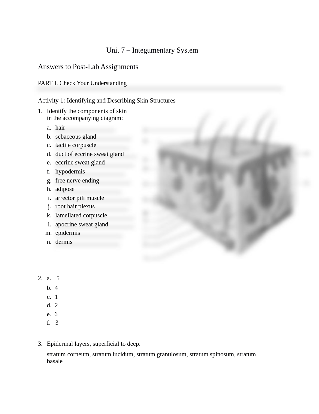 Unit 7 Answer Key.docx_duapxe8ejjf_page1