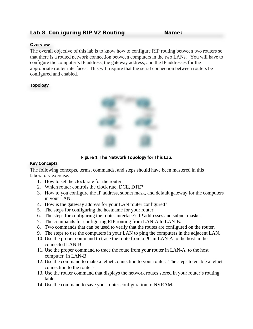 Detert Lab 8-Configuring RIP V2 Routing_Canvas.docx_duaqwam2kwg_page1