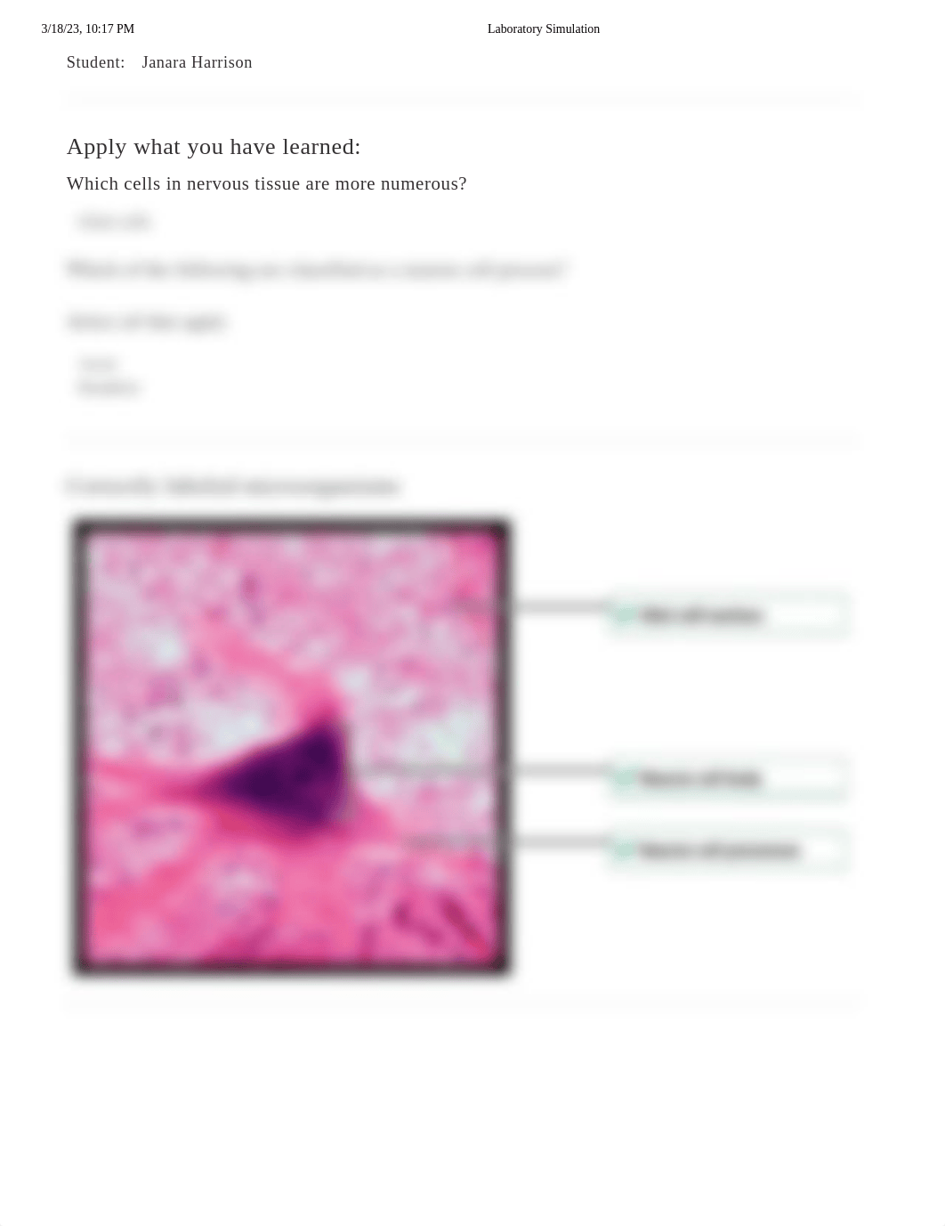 Microscopy - Nervous Tissue Histology.pdf_duay1am7vhc_page1