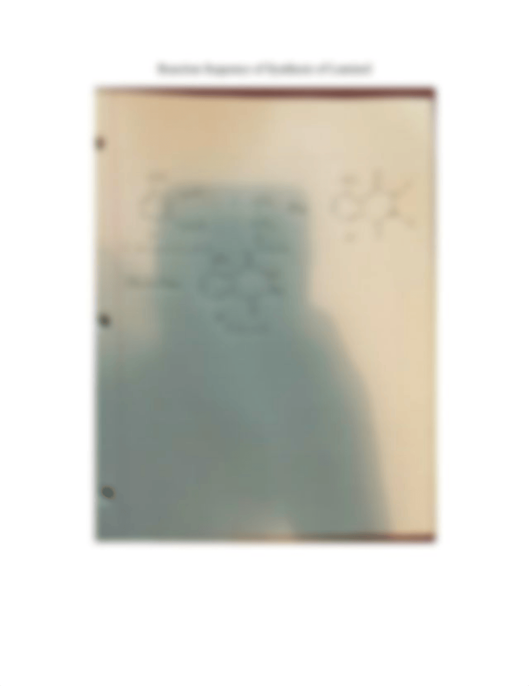 Luminol Pre Lab_dub24pko86g_page2