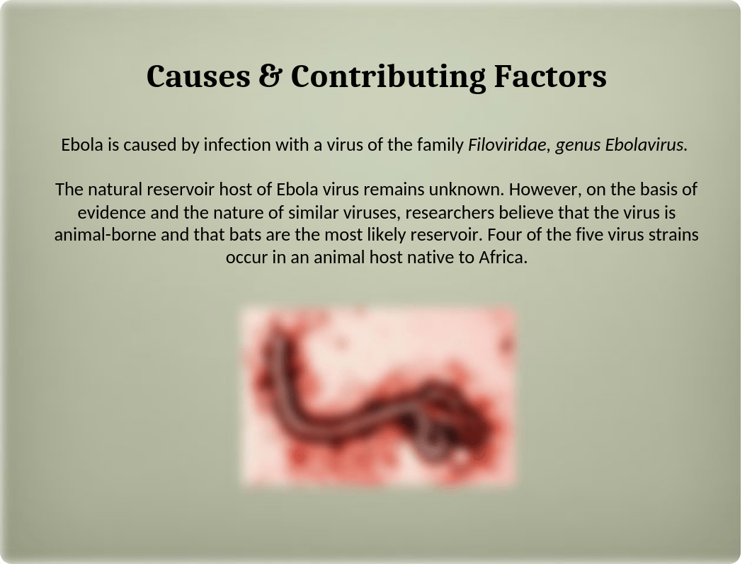 Ebola Power Point Presentation_dub63cva5p3_page3