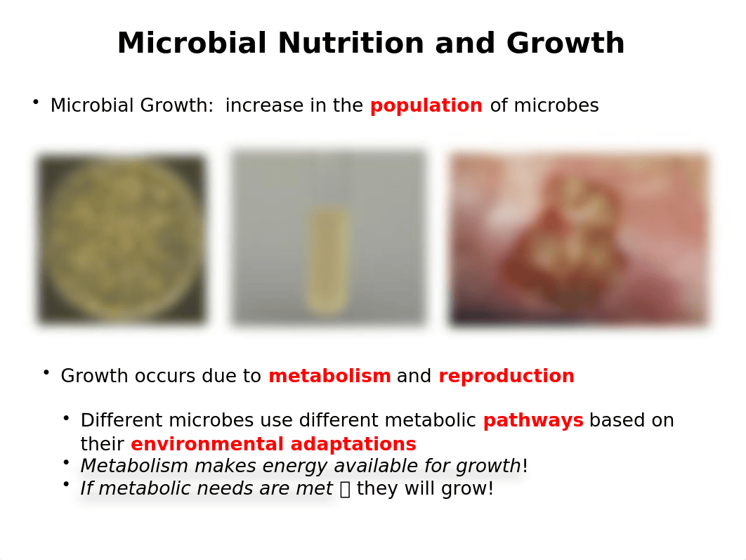 BIO 220 DISTANCE - CHAPTER  6 and 7 POWERPOINT.pptx_dubdy5dqq99_page3