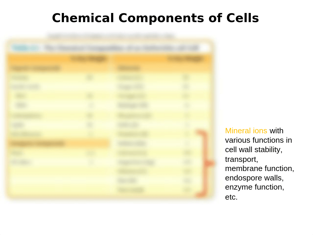 BIO 220 DISTANCE - CHAPTER  6 and 7 POWERPOINT.pptx_dubdy5dqq99_page5