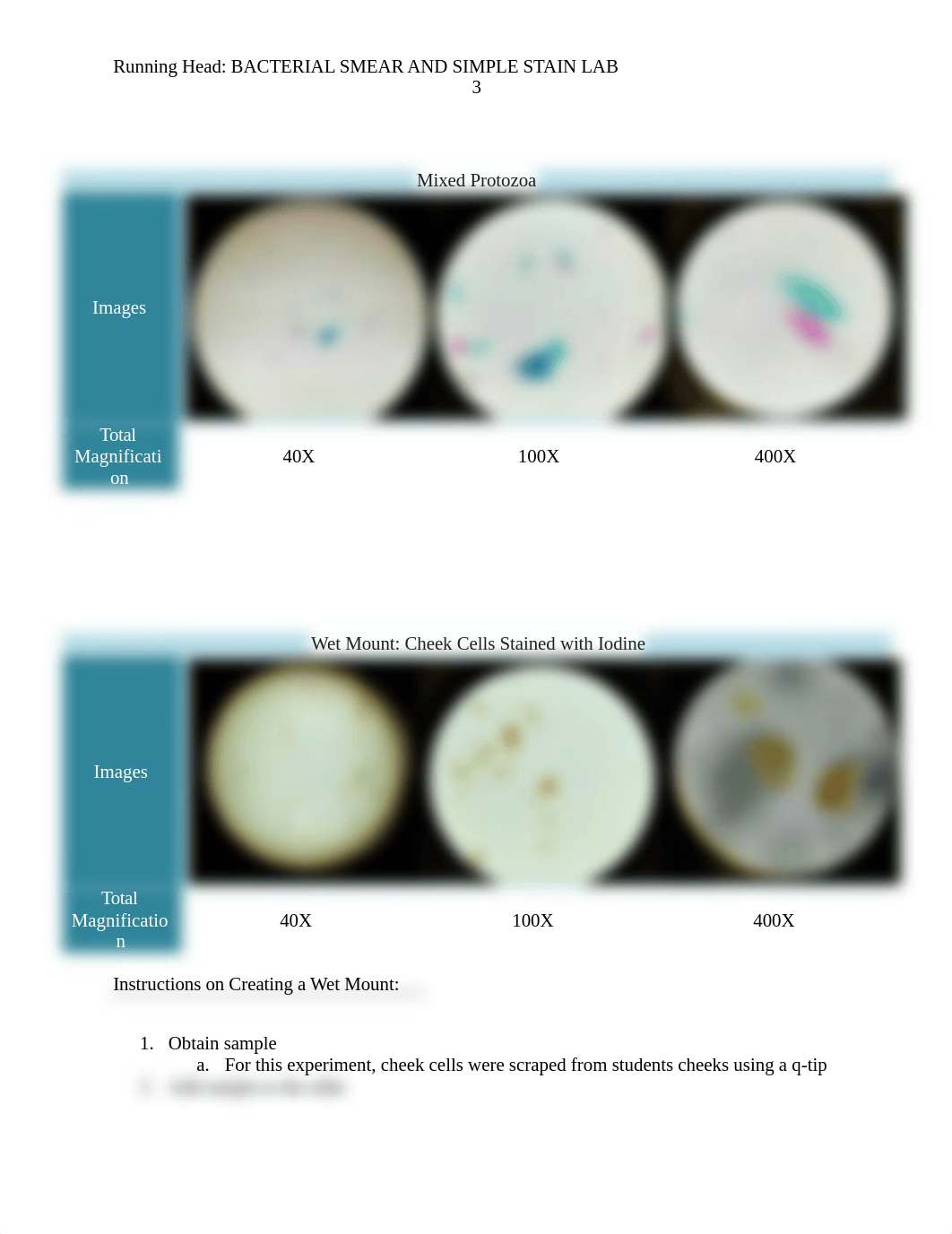 Microbiology-Bacterial Smear and Simple Stain Lab.docx_dubfg42ciiv_page3