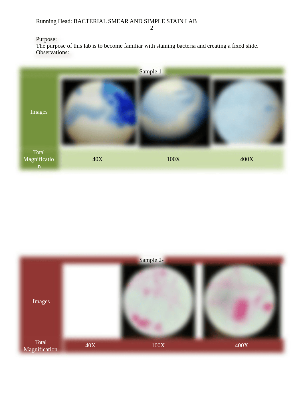 Microbiology-Bacterial Smear and Simple Stain Lab.docx_dubfg42ciiv_page2