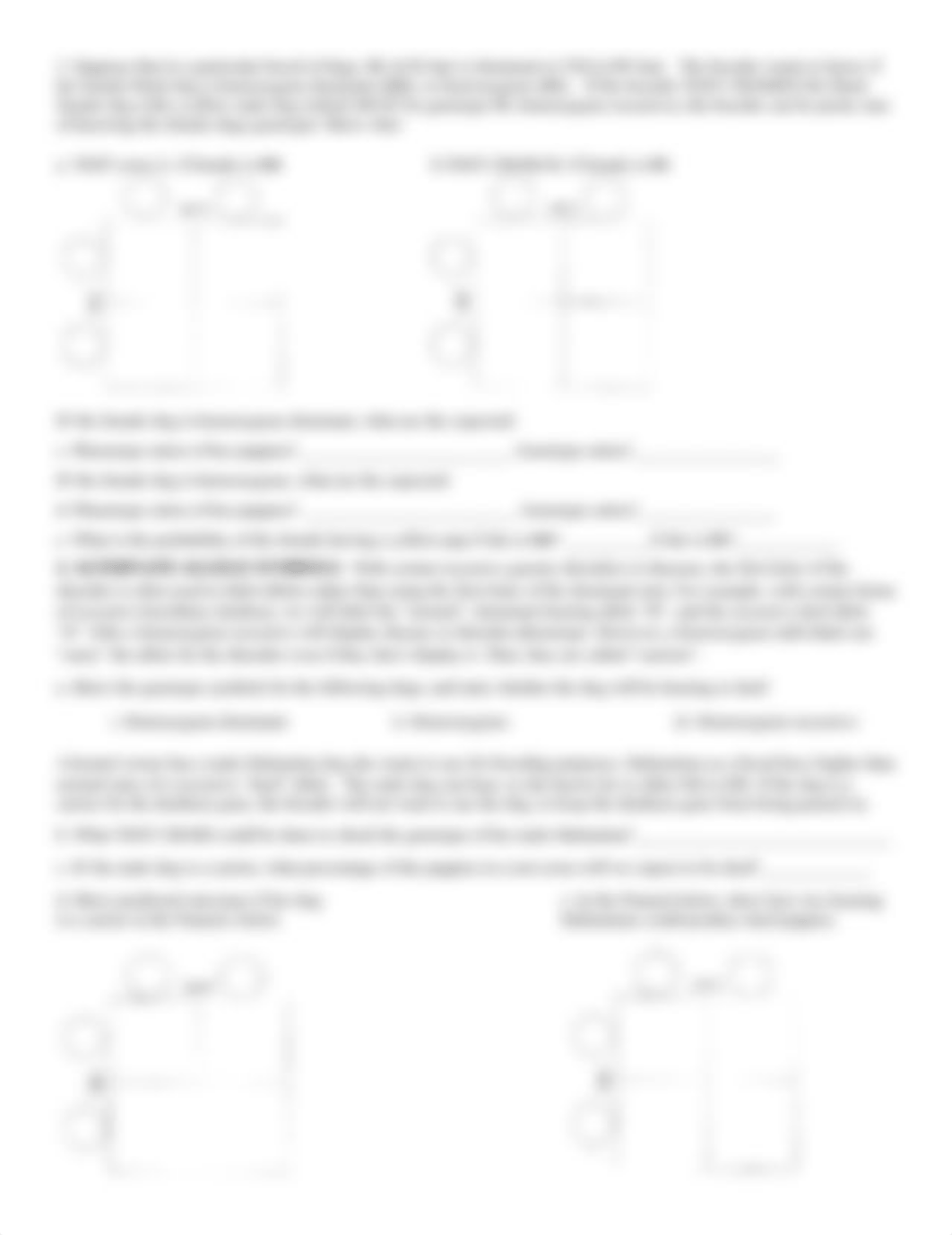 Biology 160 Genetics Worksheet (1).pdf_dubvaxotkqe_page2