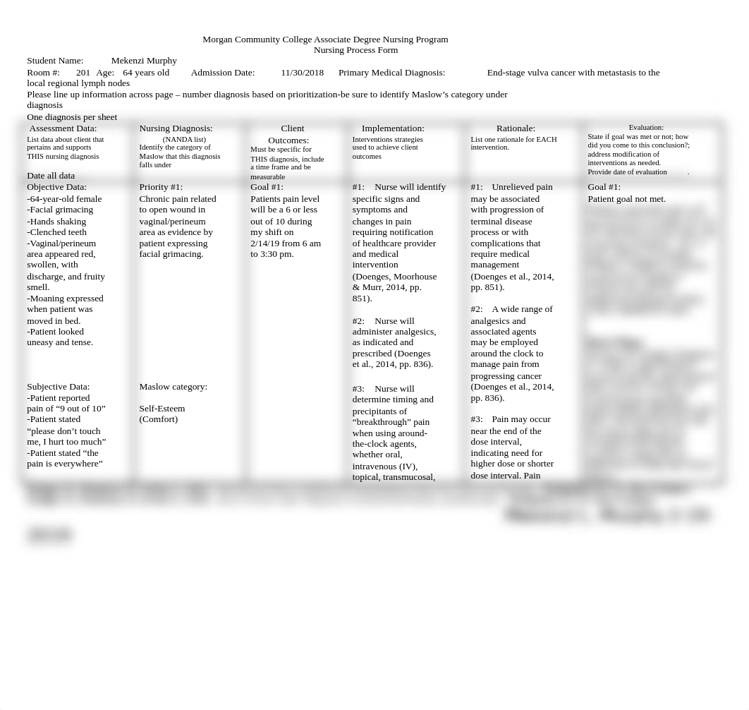 Bonell Final Care Plan #1.docx.doc_duc7v5ge1va_page1