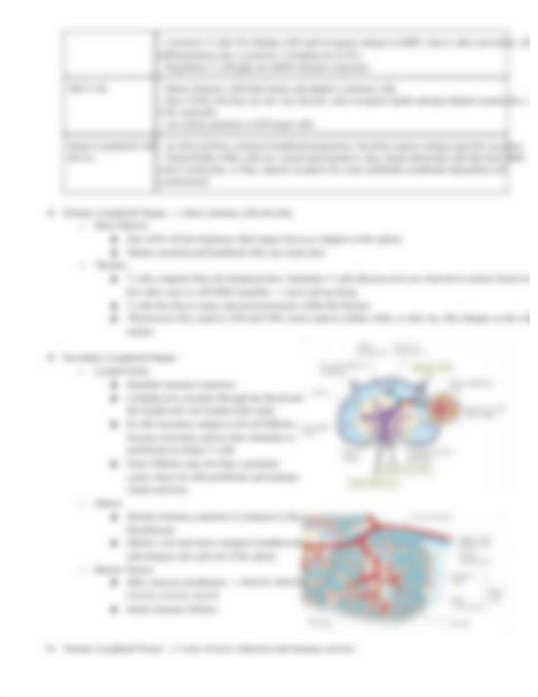 Immunology Notes Test 1.pdf_ducbr9xwkvw_page3