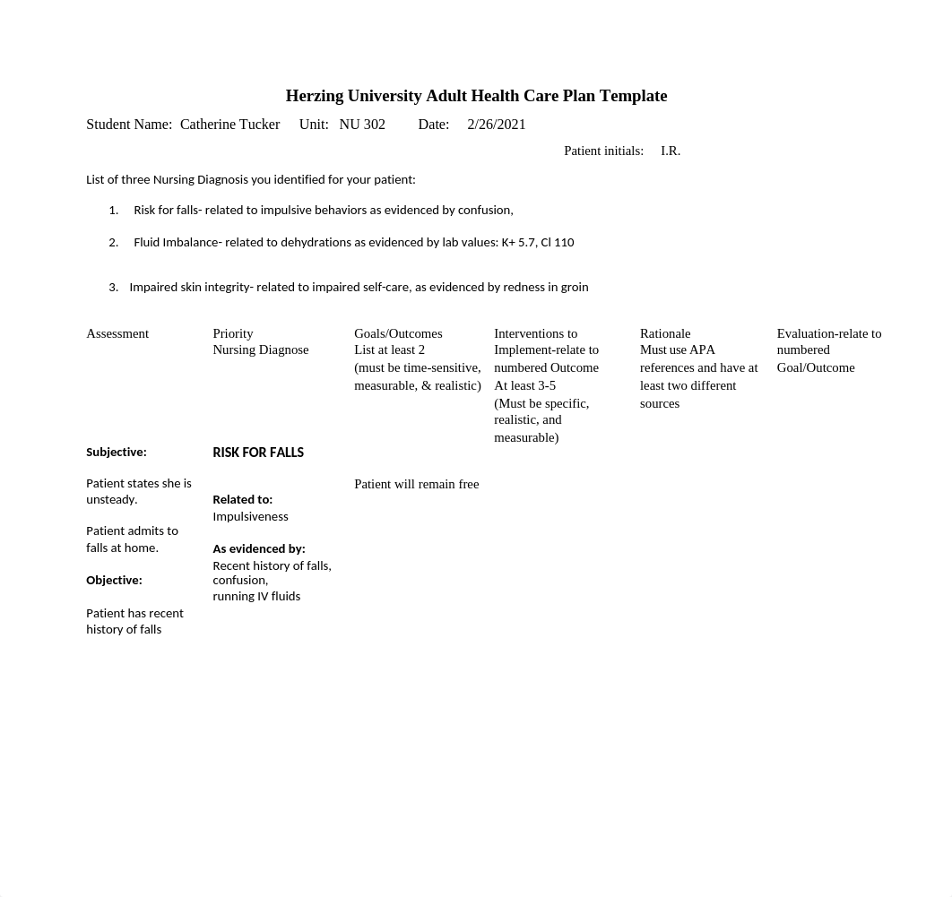 Care Plan (Risk for falls).docx_ducdwy2j5nu_page1