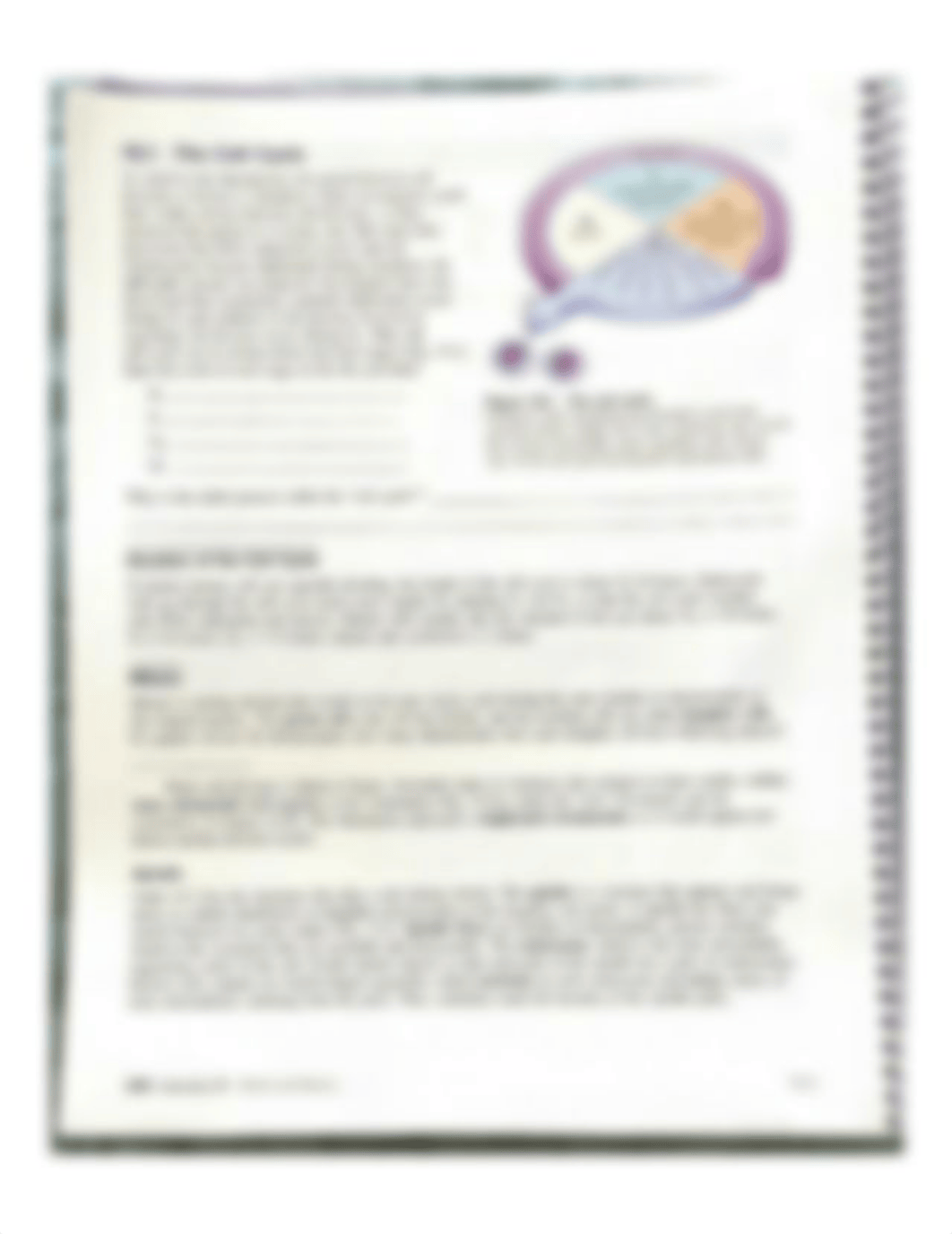 Mitosis Meiosis lab.pdf_ducgka4icke_page2