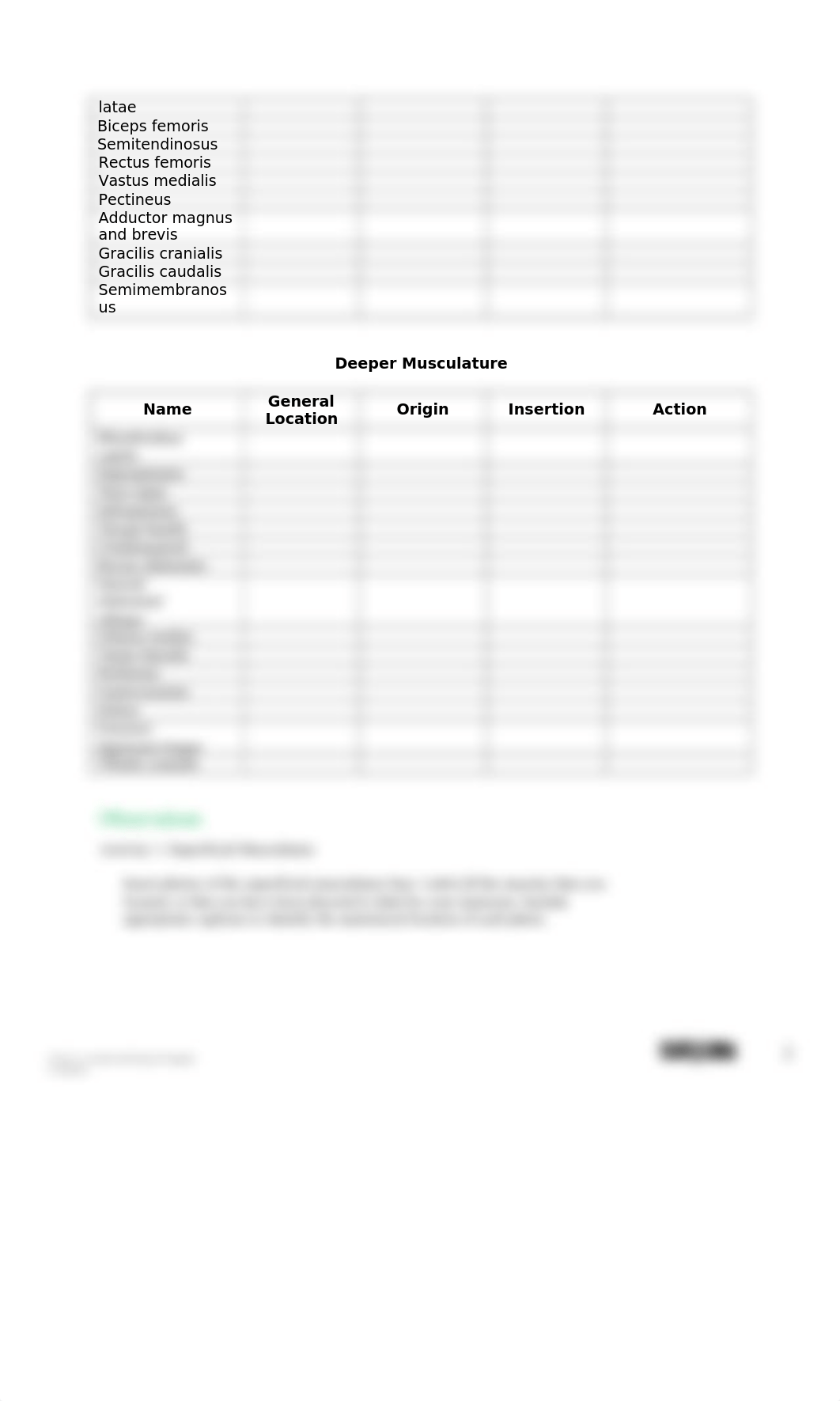 580511 Muscular-System-Dissection_Q.docx_ducn550z9p5_page2