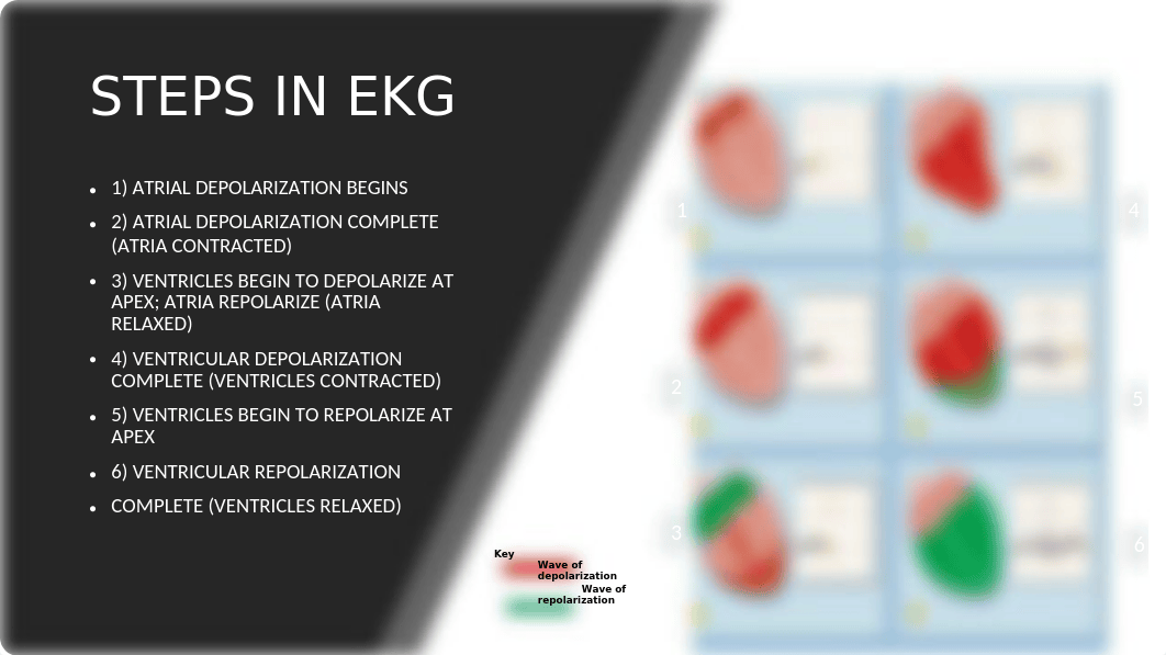 EKG READING.pptx_ductvpdmikb_page3