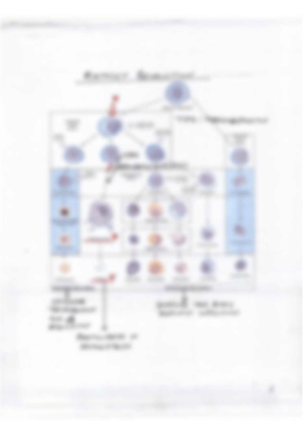 6.Hemostasis 1.pdf_ducxe6mvypj_page1