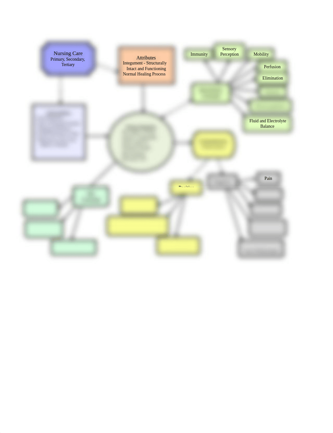 Tissue Integrity concept map-1128.docx_dud1k276b87_page1