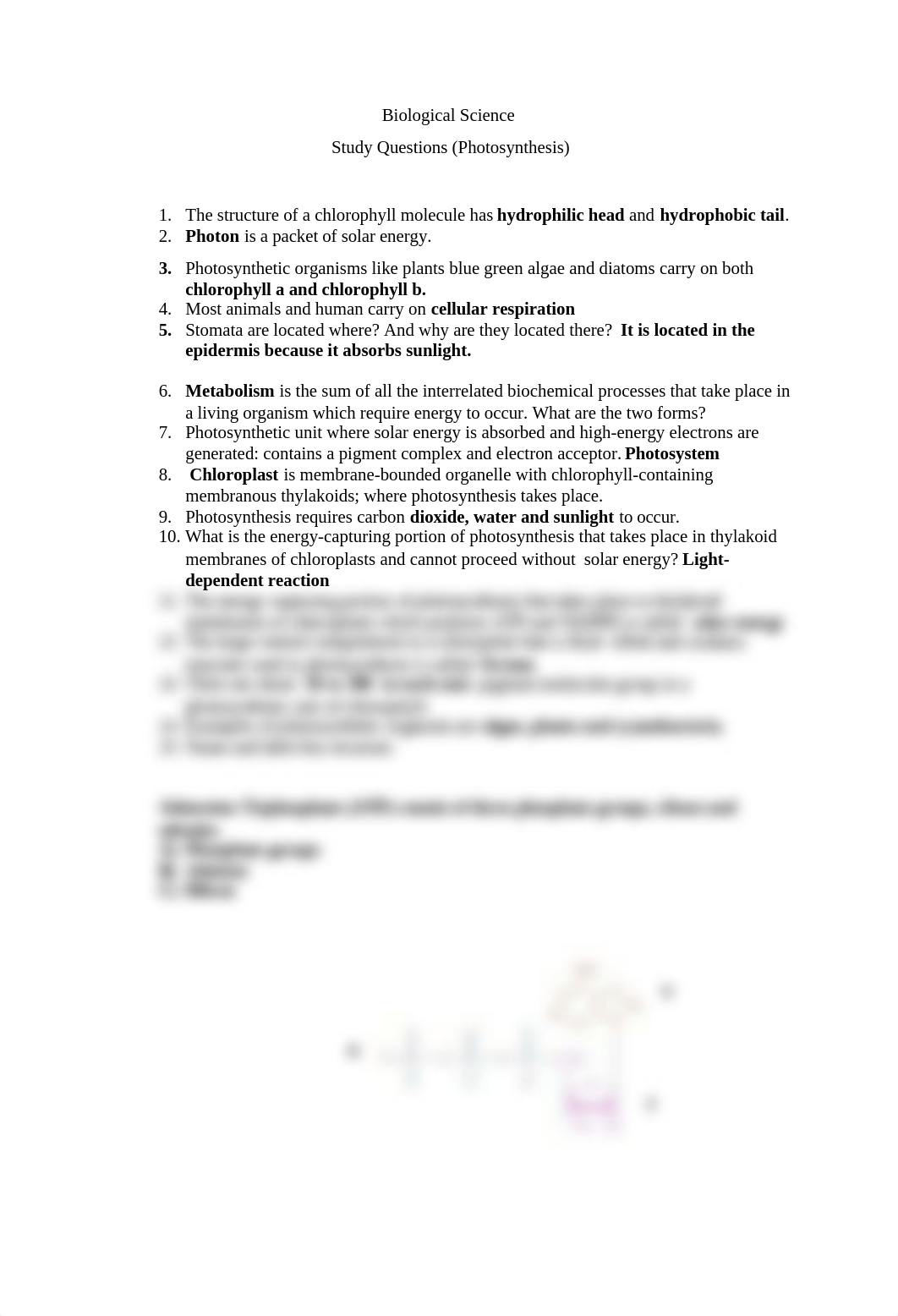 Biological Study Questions-Photosynthesis Complete_dudrnqqh8iq_page1